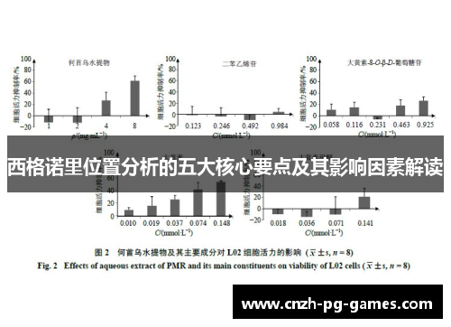 西格诺里位置分析的五大核心要点及其影响因素解读 西格诺里位置分析的五大核心要点及其影响因素解读
